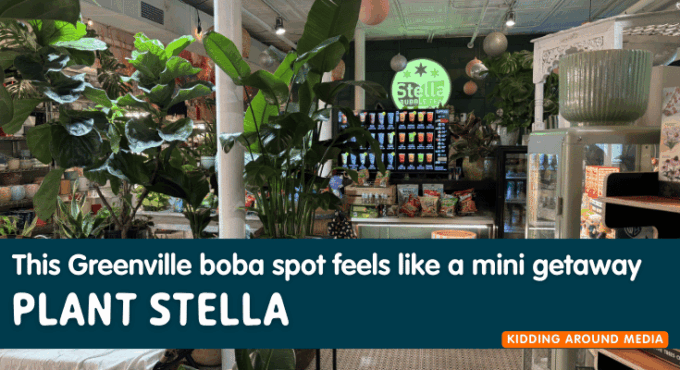 Plant Stella