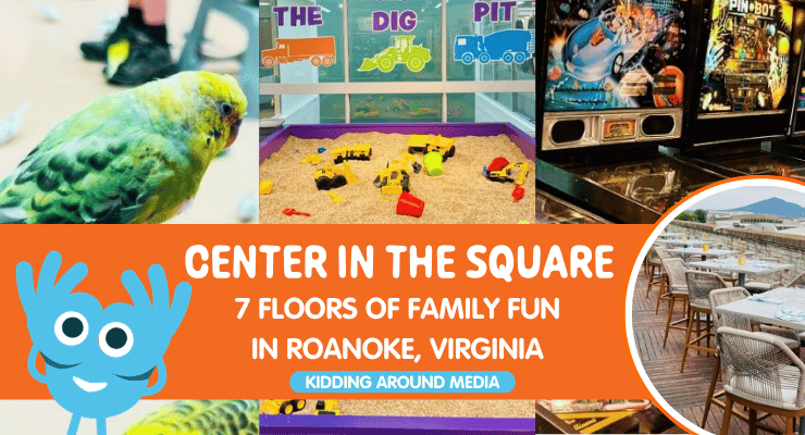Parakeet, sandbox, arcade games, and rooftop restaurant shown in featured photo for the article
