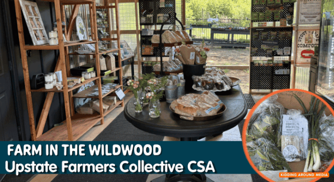 Farm in the wildwood