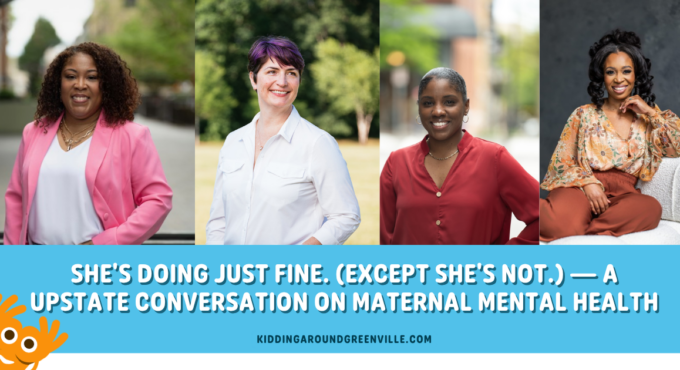 Banner - Maternal Mental Health
