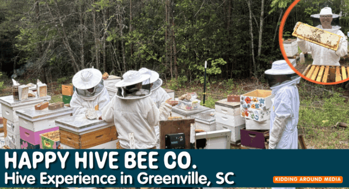 Happy Hive Bee Co