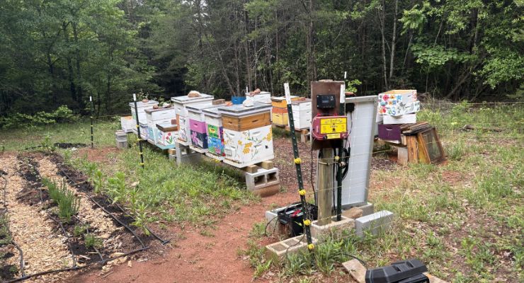 The Happy Hive Bee Co apirary