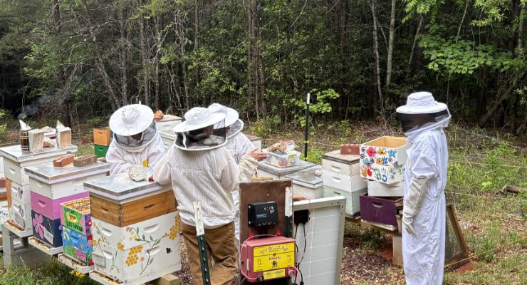 Happy Hive