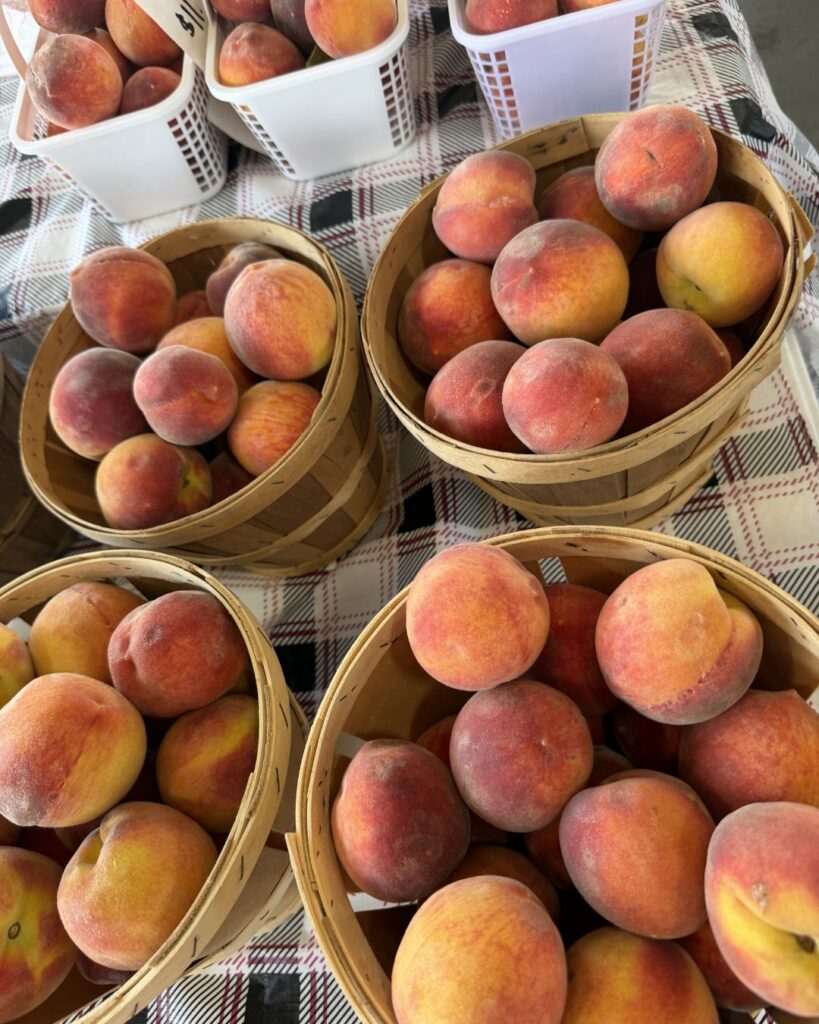 Farmers Market near Dorthea Dix Park