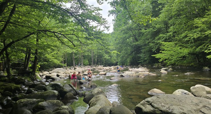 Kids playing in a creek and swimming hole surrounded by rocks and lush green forest in the Greenbrier area of the Great Smoky Mountains