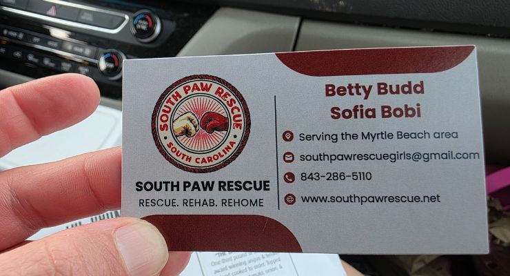 Grumpy Mustache Animal Rescue Charity