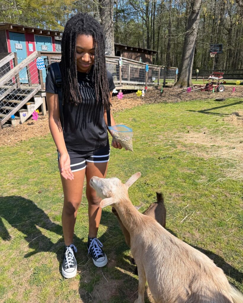 Feeding animals at Hidden Pastures