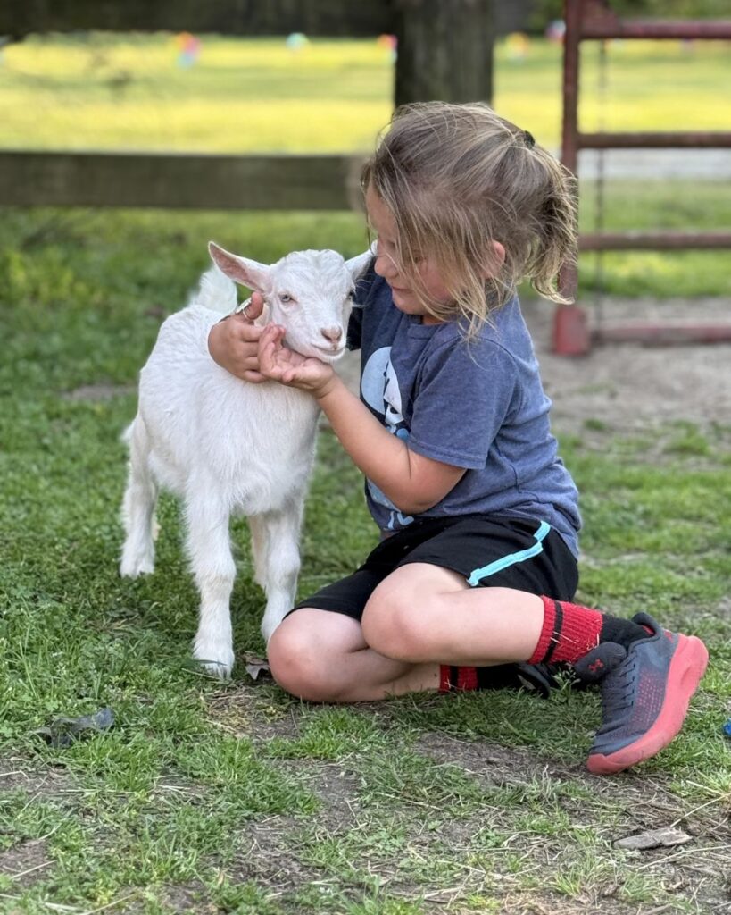 Unicorn Farm in Fountain Inn, SC