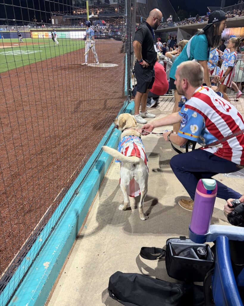 Kacey the Bat Dog at a Kannapolis Cannon Ballers game at Atrium Health Ballpark