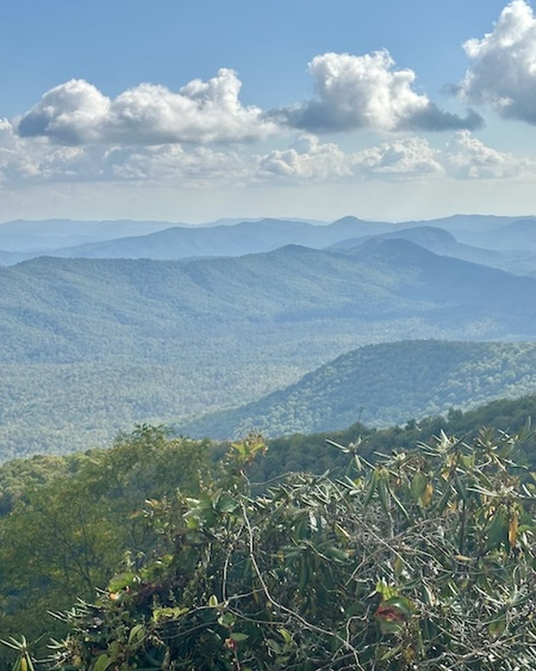 Summer mountain views from Pisgah Inn on the Blue Ridge Parkway