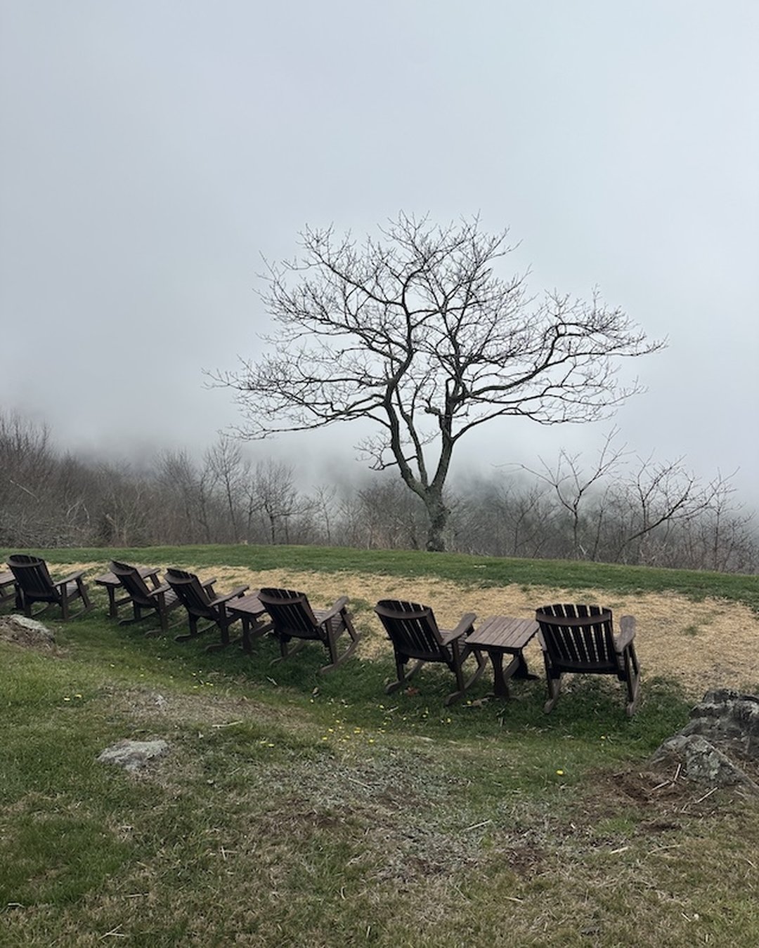Foggy morning view from Pisgah Inn balcony on Blue Ridge Parkway