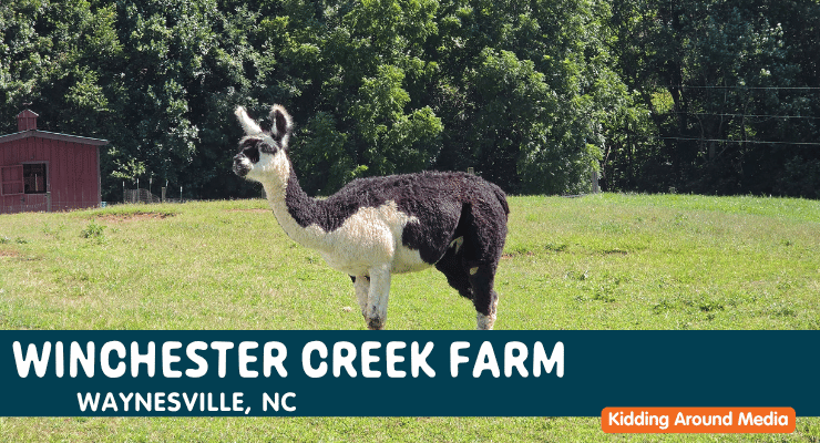 Winchester Creek Farm