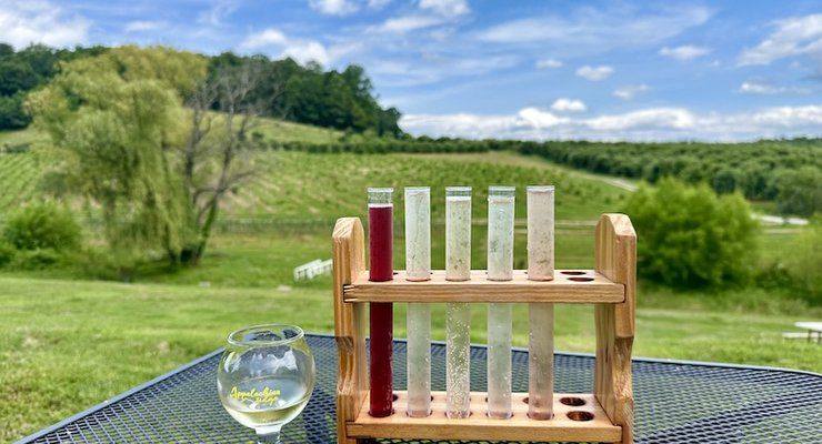 Appalachian Ridge Artisan Cidery cider flight outdoors