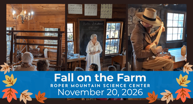 Afternoon Explorations at RMSC- Fall on the Farm