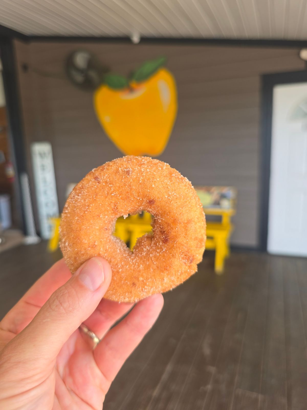 Apple cider donut at Justus Orchard Hendersonville NC