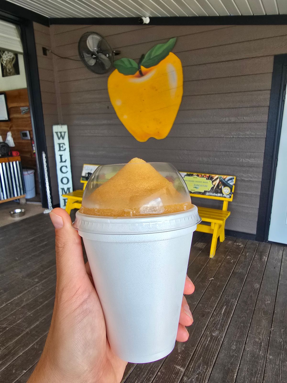 Apple cider slushie at Justus Orchard Hendersonville NC