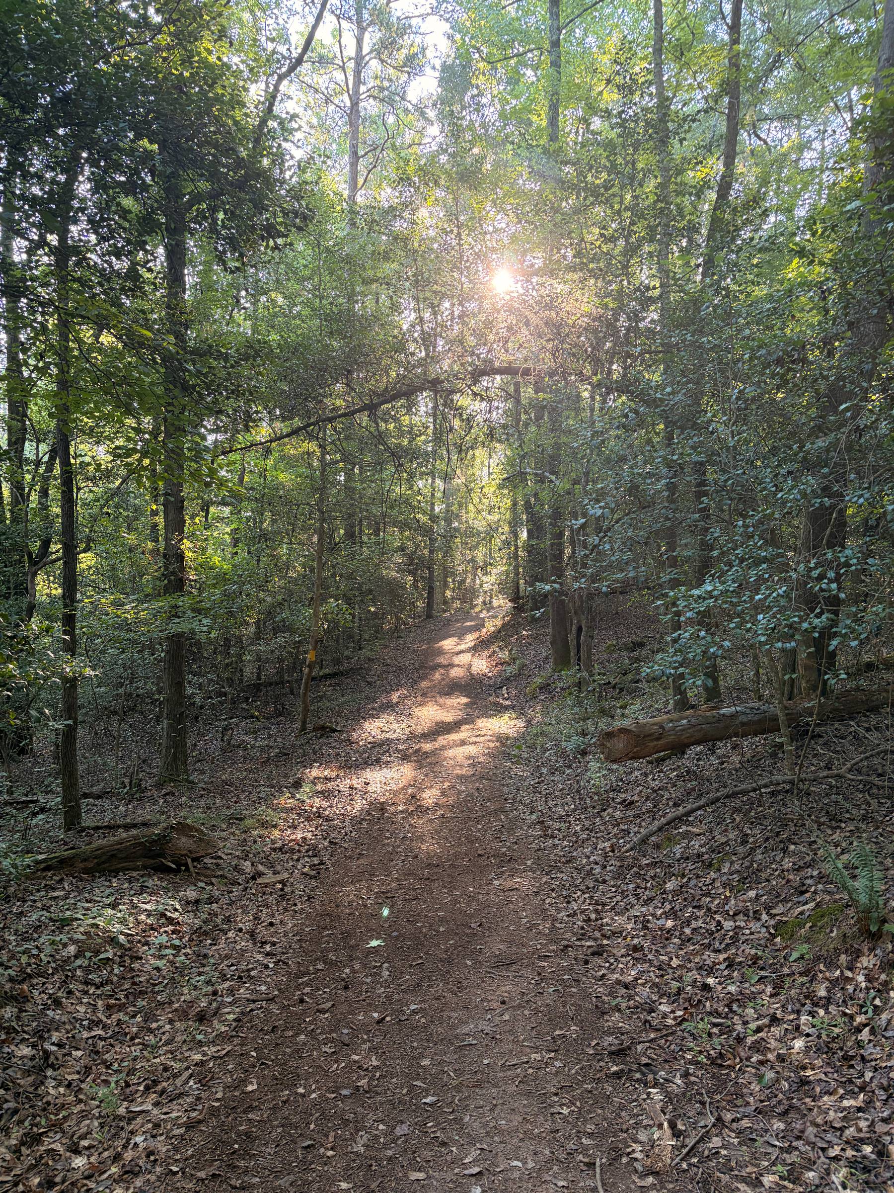 Lake Blalock Park nature trail through woods near Spartanburg SC