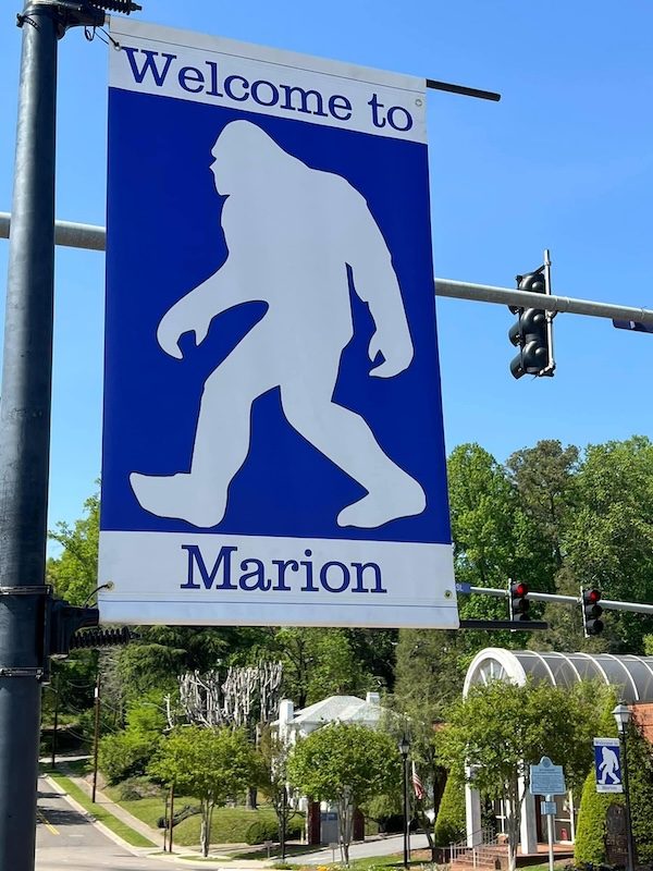 WNC Bigfoot Festival flag flying over the street festival in downtown Marion, NC
