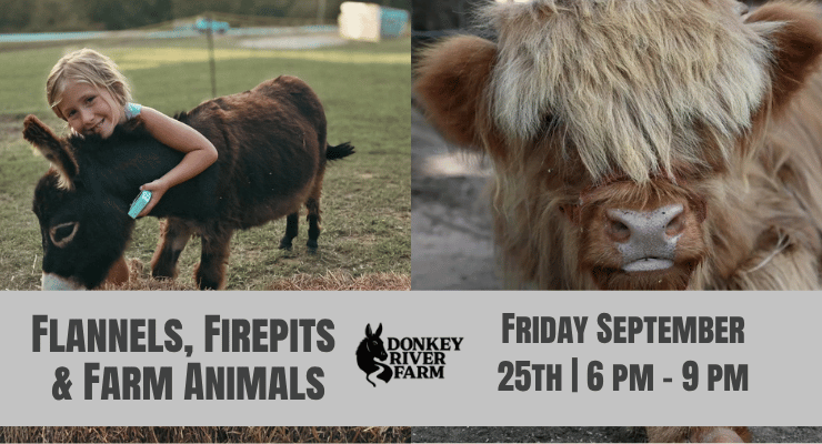 Donkey River Farm: Flannels, Firepits and Farm Animals