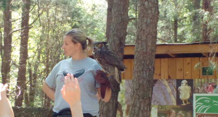 Owl and handler