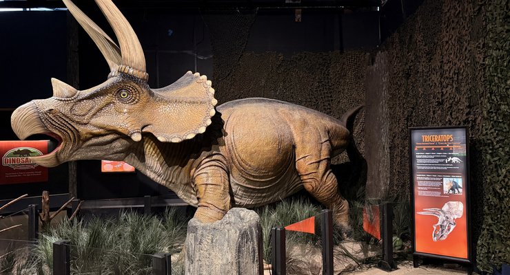 Full-scale dinosaur skeleton exhibit at the Schiele Museum of Natural History in Gastonia NC