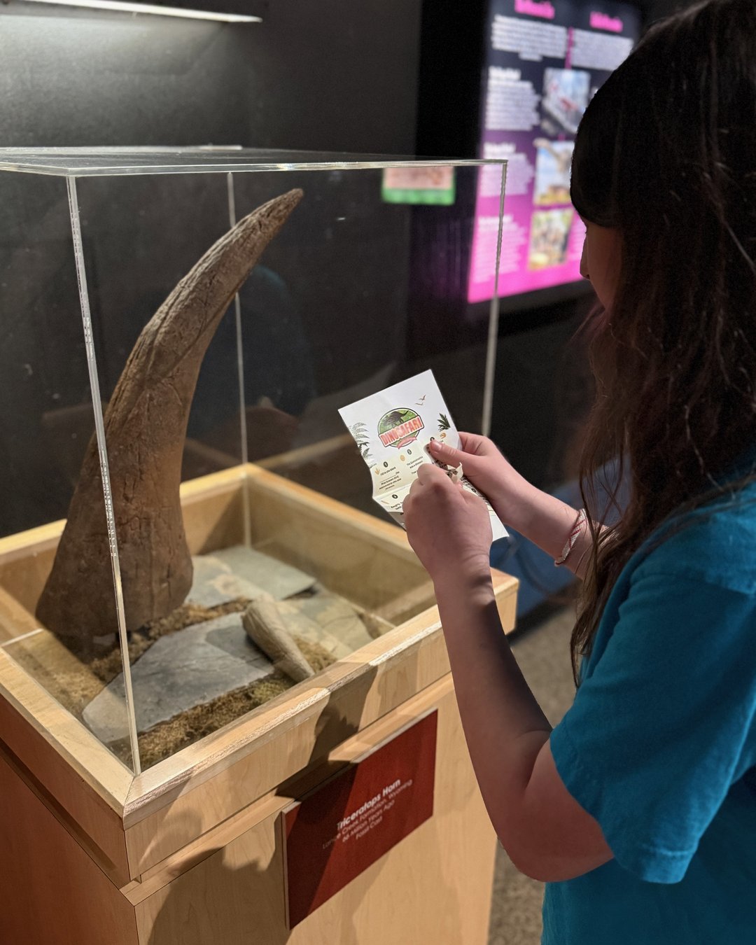 Immersive 360-degree dinosaur room at the Schiele Museum Hall of Dinosaurs