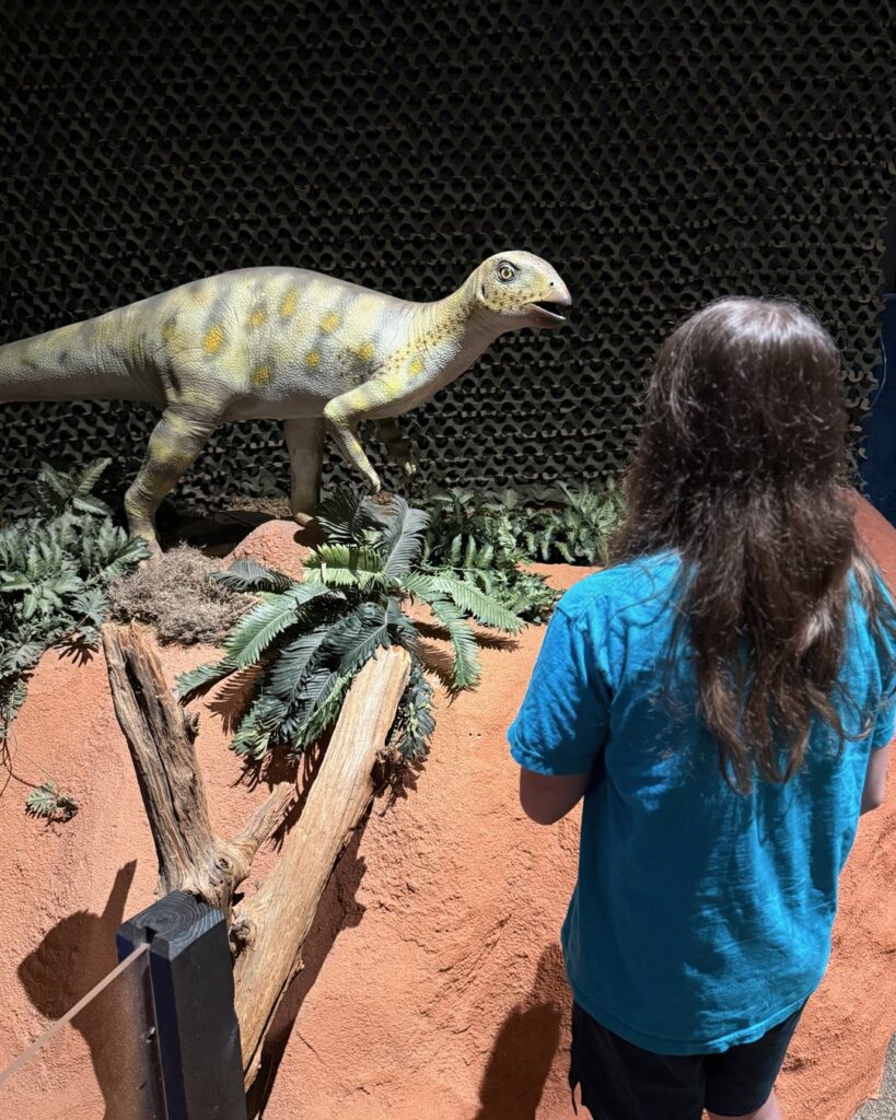 Schiele Museum Hall of Dinosaurs immersive exhibit