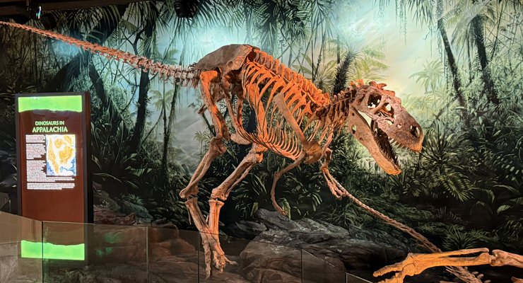 Schiele Museum Hall of Dinosaurs Gastonia NC