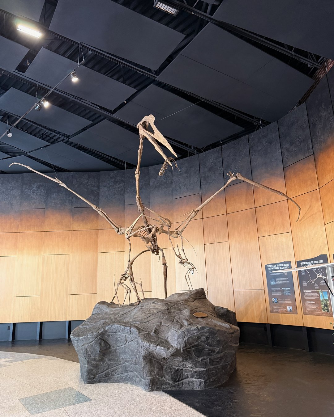 Hall of Dinosaurs immersive exhibit Schiele