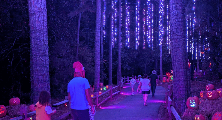 Walking through the Enchanted Pumpkin Trail at Callaway