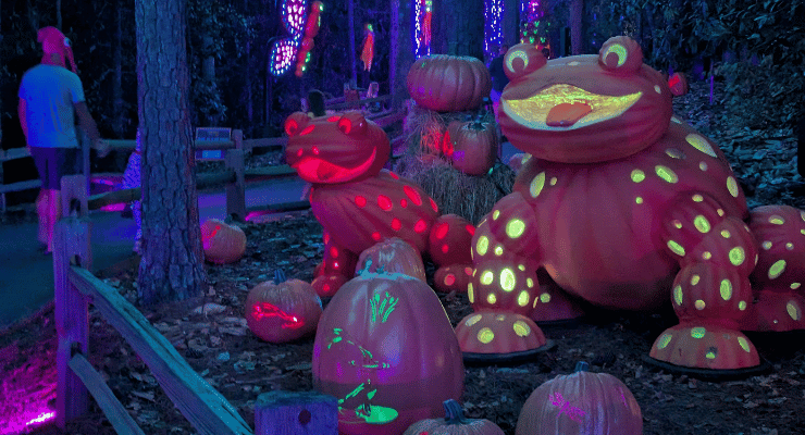 Illuminated glowing frogs at Pumpkins at Callaway