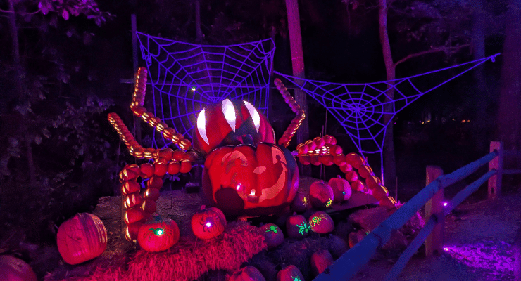 Illuminated pumpkin display at Pumpkins at Callaway