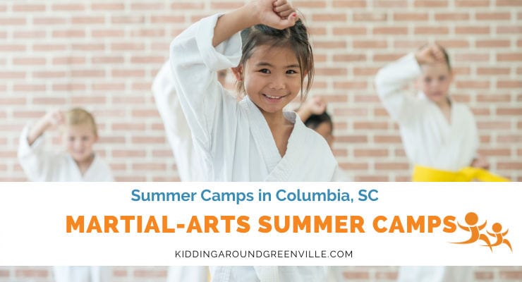 Martial Arts Summer Camp